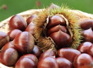 秋の定番!!ホクホク！栗コロッケ🌰