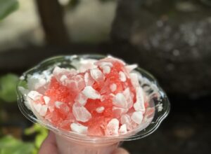 夏のスイーツ「生シロップかき氷」